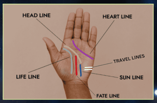 Palm Reading